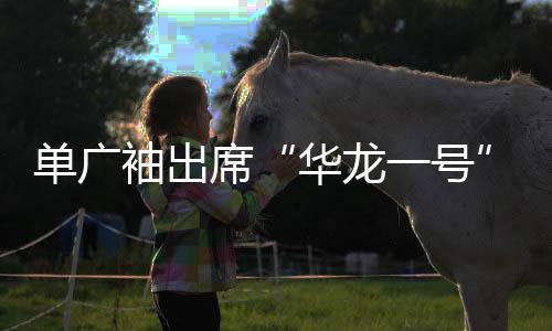单广袖出席“华龙一号”西部首堆经验总结暨批量化项目高质量建设推进会 部首高效完成建设目标