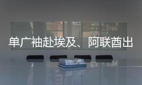 单广袖赴埃及、阿联酋出席埃及中国图书中心揭牌仪式、中建中东公司第八届年度技术大会及首届人才工作会，并调研集团子企业及重点项目 希望以此次大会为契机