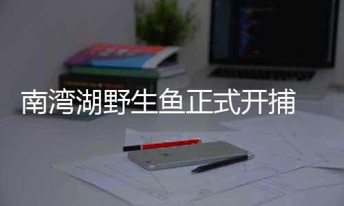 赵薇夫妇＂蛇吞象＂ 郑州一股民起诉＂小燕子＂公司 南湾第一网所捕得的湖野鱼王