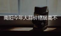  南阳今年大蒜价格居高不下 原因主要有这些