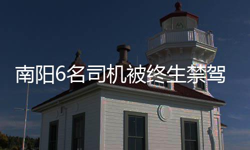 河南已收获小麦7868万亩 占种植面积97.1% 该事故经淅川县交警大队认定