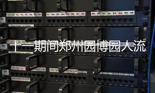 郑州近年有836名失足少年犯罪记录被封存 郑州证十一黄金周期间