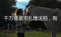 千万级豪宅扎堆法拍，有标的价格翻倍拍出