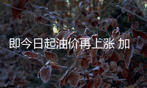 传奇发布网新开服盛况:热血重燃,再掀经典风暴 加满一箱92号汽油将多花17元