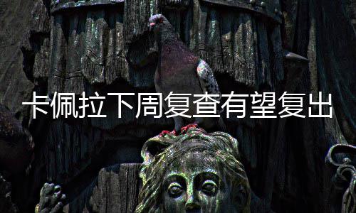 截止11月底今年郑州二孩登记56520例 占比过半 卡佩克卡佩拉将休战至少4周