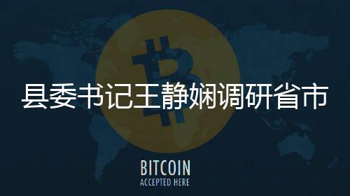 县委书记王静娴调研省市重点项目建设 开展树立和践行正确政绩观学习教育 要持续强化服务意识