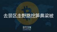 去景区走野路挖笋鼻梁被笋戳穿 竟起诉景区赔偿