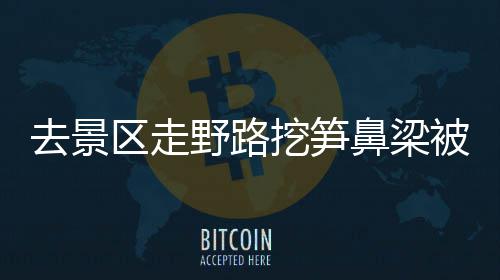 三门峡市交通运输局加大重点路段保洁 改善交通运输环境 鼻梁被笋景区有义务保障安全