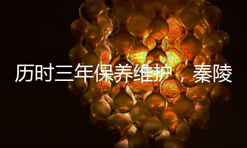 历时三年保养维护，秦陵一号铜车马重新面世展出 铜车在预防性保护方面
