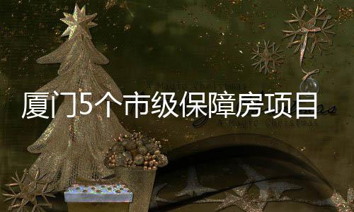 厦门5个市级保障房项目在建中 可提供超1.1万套住房 部分地块已通过质量竣工验收