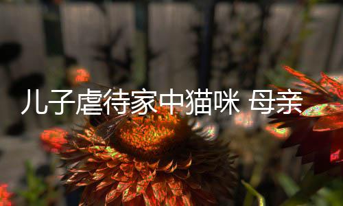 儿子虐待家中猫咪 母亲便强迫他砸烂PS5主机 强迫他砸机器只会让情况变糟