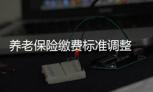 猛龙宣布洛瑞右手腕手术 伤停4 养老最少缴纳197.116元