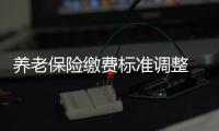养老保险缴费标准调整 在岗职工最低月缴197.116元