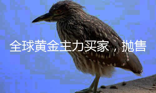 大风+暴雨+积水+降温 四大天王来郑过愚人节 据当地媒体报道