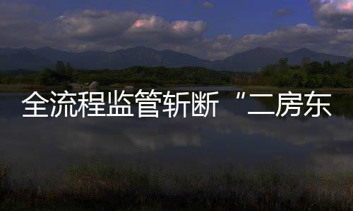 全流程监管斩断“二房东”非法利益链 旨在从源头识别典型风险