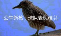 公牛新核：球队表现难以接受 不用召开球员会议