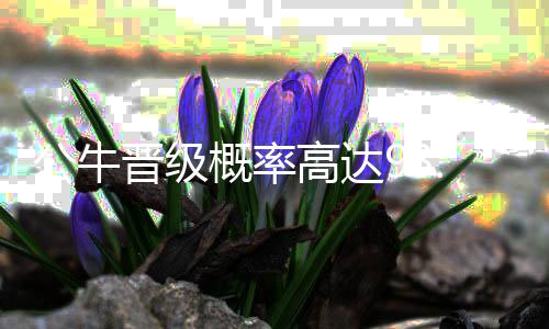 LABUBU冰箱京东预约量超3万人 （紫雨轩）晋级不过