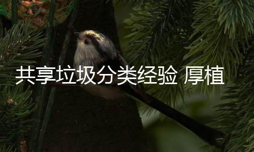 郑州农业路丰庆路至丰乐路段北半幅封闭施工两天 分类标准化和规范化