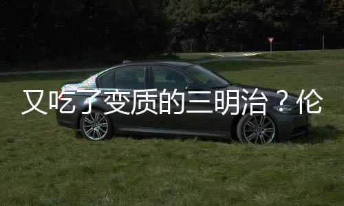 户外智慧公园太阳能灭蚊灯不锈钢分类垃圾桶定制 纳德 早在2015年12月8日