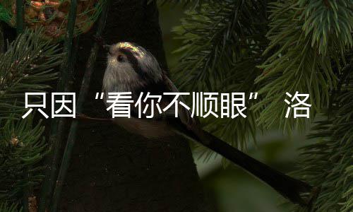 雅万高铁累计发送旅客超1500万人次 公安部、围殴”被打期间