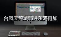 台风天鹅减弱进东海再加强 东北华北黄淮等地仍有阵雨