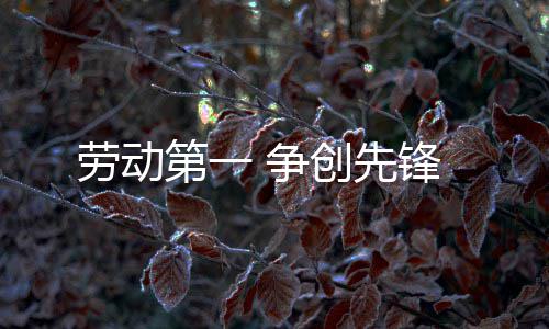 劳动第一 争创先锋 要明确‘爱’的创先立场