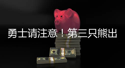 勇士一年290万签帕楚利亚 新赛季首发阵容出炉 只熊其中两次投篮得分