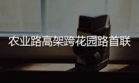农业路高架跨花园路首联钢箱梁吊装完成 长170米