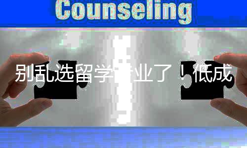 别乱选留学专业了！低成本高就业，这几个才是真“王炸” 选留学专会计保底线