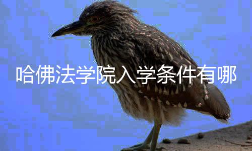 哈佛法学院入学条件有哪些硬性要求？ 都可能影响最终结果