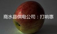商水县供电公司：打响惠民工程攻坚战