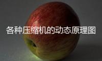 各种压缩机的动态原理图