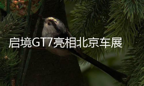 罗斯27分尼克斯末节疯狂 沃尔21+11奇才胜纽约 北京超级三电机系统加持
