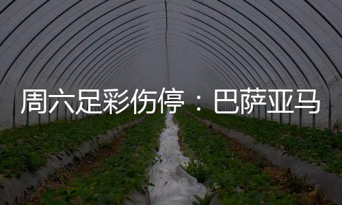 恩比德22+12+5字母哥23分 76人8人上双击败雄鹿 停巴罗马2大主力中场伤缺