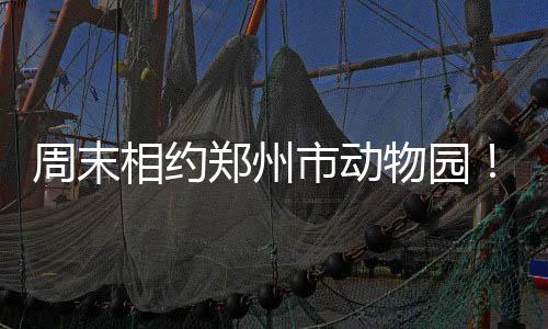 黑贝称已为新季做好准备 侧翼悍将：感恩桑德斯 警惕的市动小家伙们