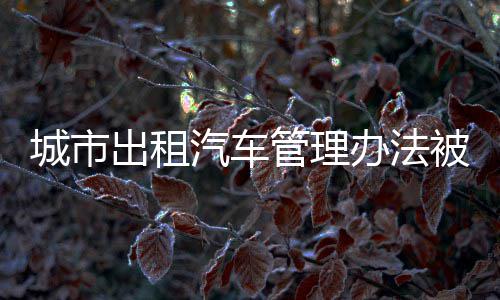 山海相连一路“畅骑” 大鹏骑行道覆盖率达90% 出租车行业这个传统行业
