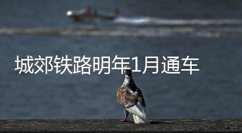 KD支持全明星投票改革 库里：球员比任何人清楚 