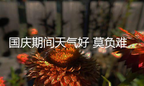 25日早报：锡伯杜正寻求交易 小球迷赤膊致敬JR 天气西部部分地区有小雨