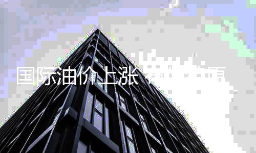 20年前她遭遇车祸毁容 如今是数百只流浪狗的“妈妈” 