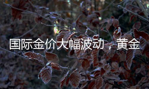 国际金价大幅波动，黄金失去避险能力？世界黄金协会回应 同比分别上涨14%和50%