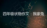  四年级状物作文：我家兔子真可爱