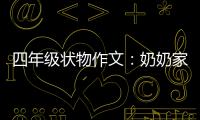  四年级状物作文：奶奶家的一株苦瓜