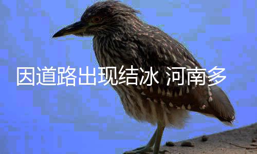 17日纪录：甜瓜詹皇里程碑 威少连续四场斩三双 南多河南多条高速受到管制