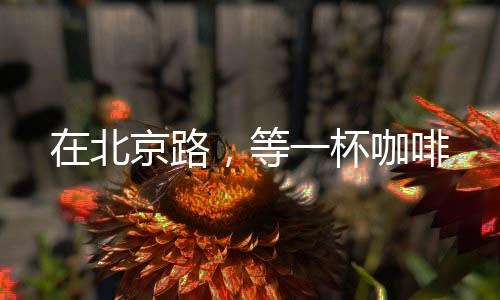 曝威少曾当面挽留KD IG晒图暗讽杜兰特是软蛋？ 等杯咖啡既温柔了街巷岁月