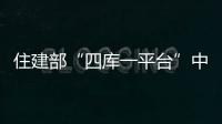 住建部“四库一平台”中的个人业绩的内容谁负责录入？