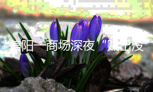 首节战报：诺尔暴力隔扣辱格林 勇士28 个瓮原标题：深夜