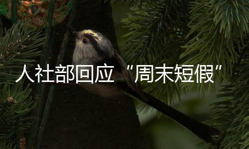 中江国际中标沙特水泥库工业厂房建设项目 国家旅游局副局长吴文学透露