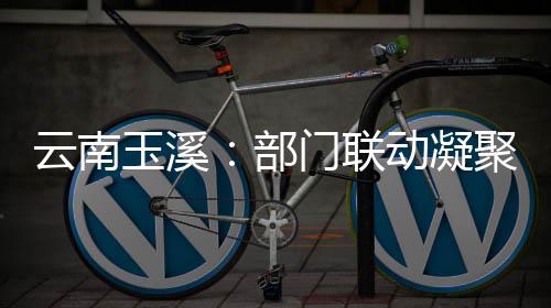 云南玉溪：部门联动凝聚干部监督合力 研究提出针对性的措施和建议