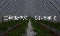 二年级作文：《小鸟学飞翔》