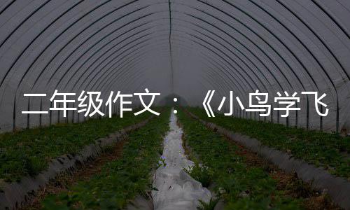 二年级作文：《小鸟学飞翔》 年级它终于飞起来了